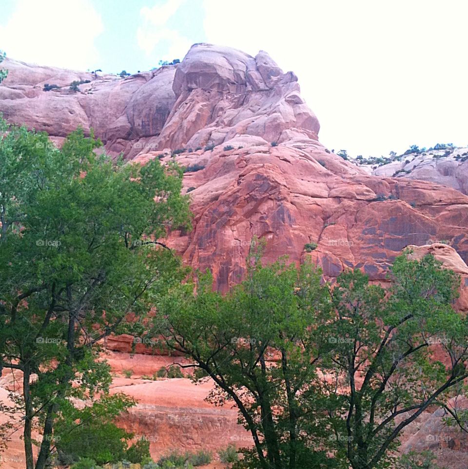 Red cliffs. Utah
