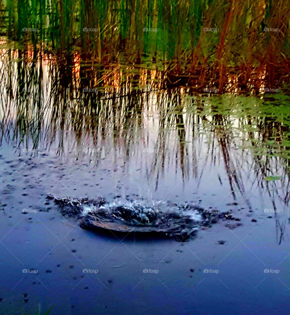 water. (rock throwing)