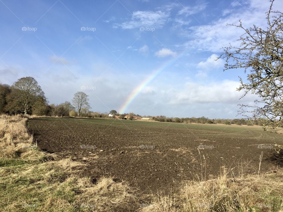 Little Rainbow .... very strange as I didn’t see rain at all ?!?!