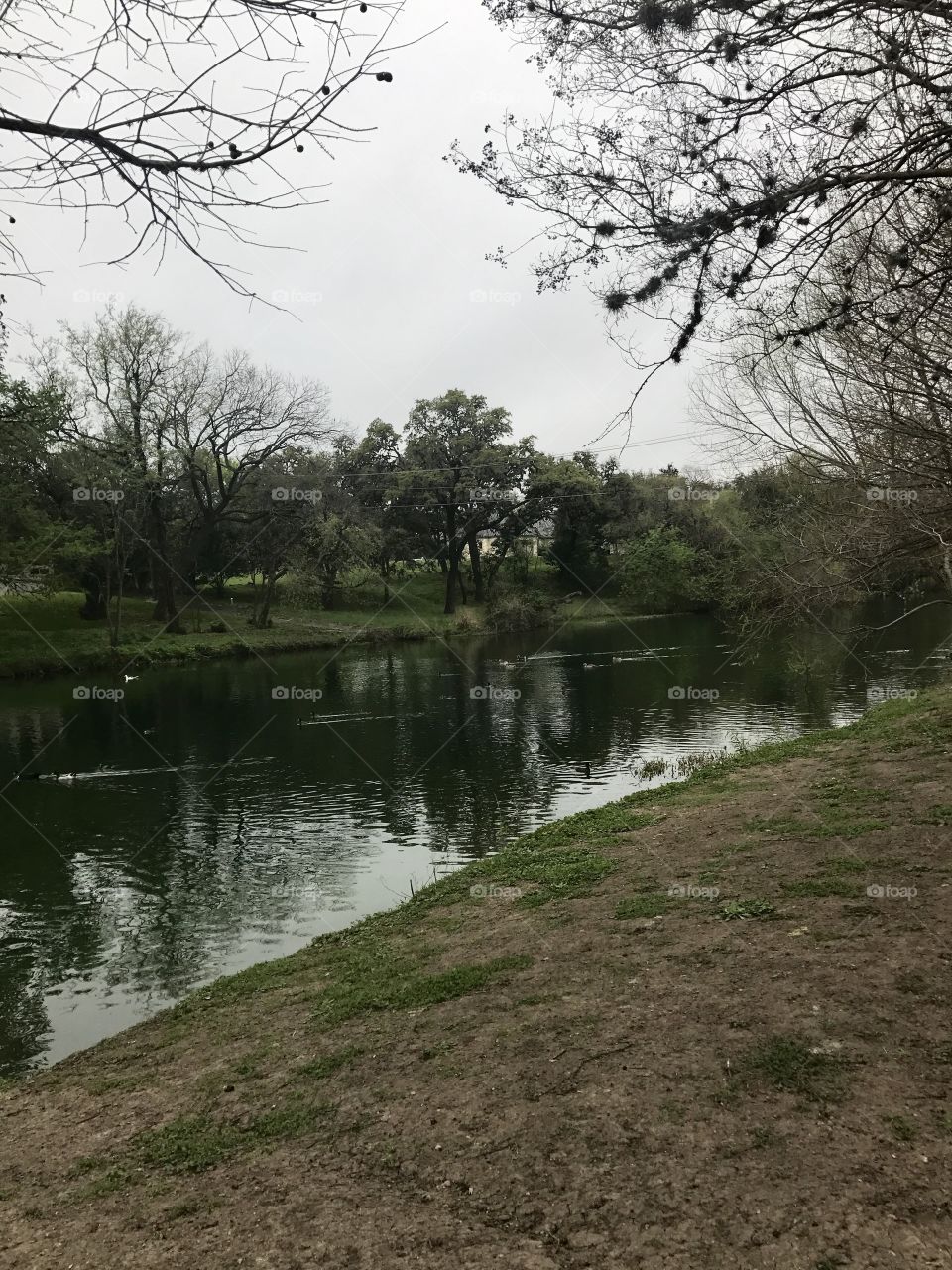 Calm river environment 