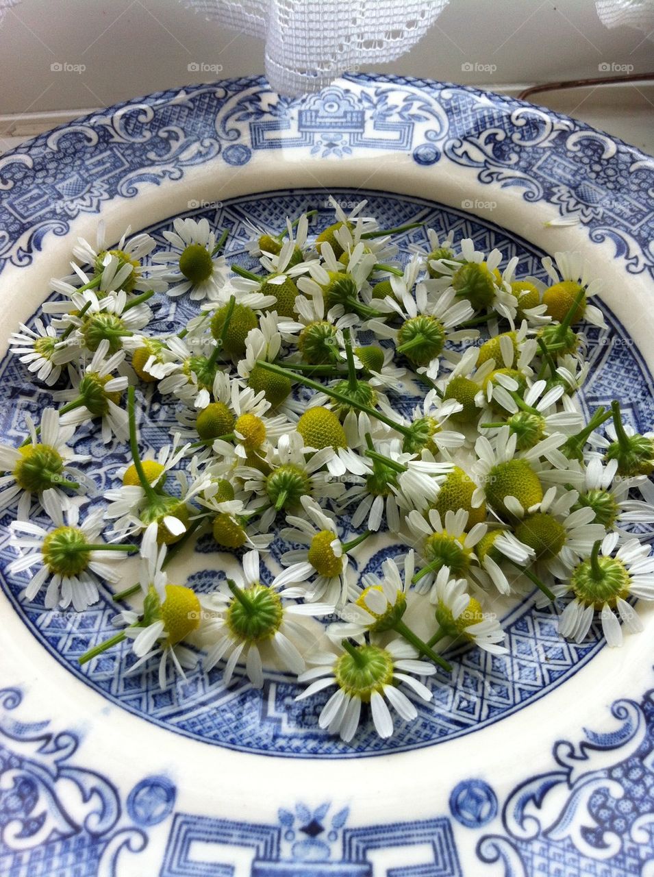 Picked with my 2year old