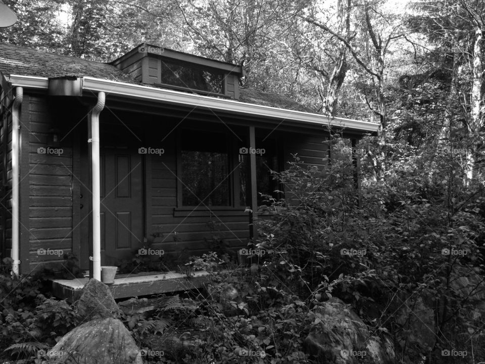 Cabin in the woods . Cabin sitting empty in the woods 