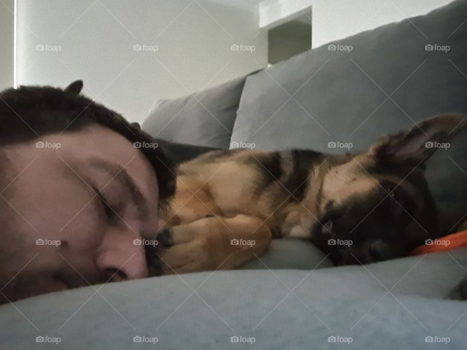 When the puppy cuddles put you too sleep!