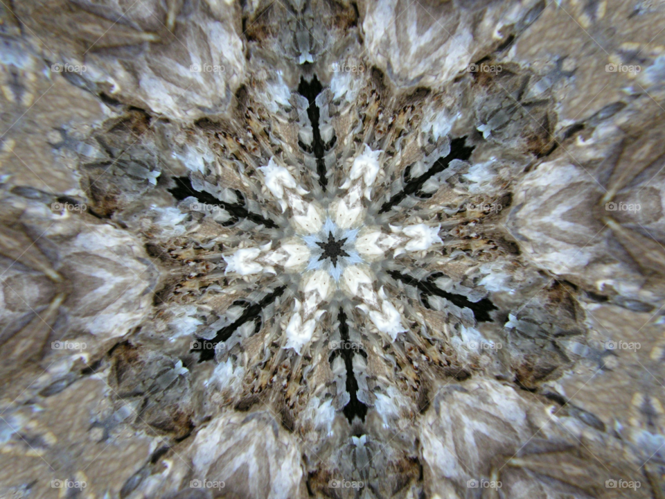 Snowflake  fractal