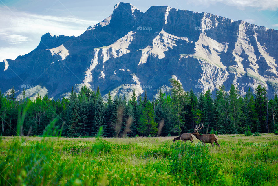 Rocky Mountains in Banff National Park