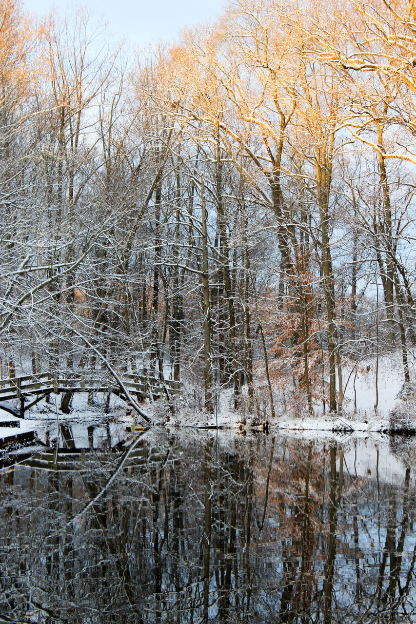 Winter Wonderland after the first snow