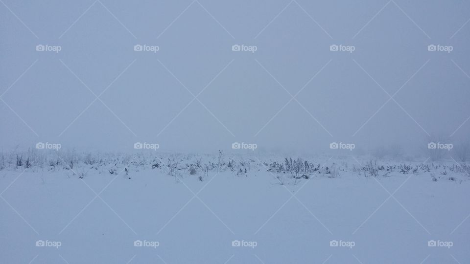 winter fogy landscape photo