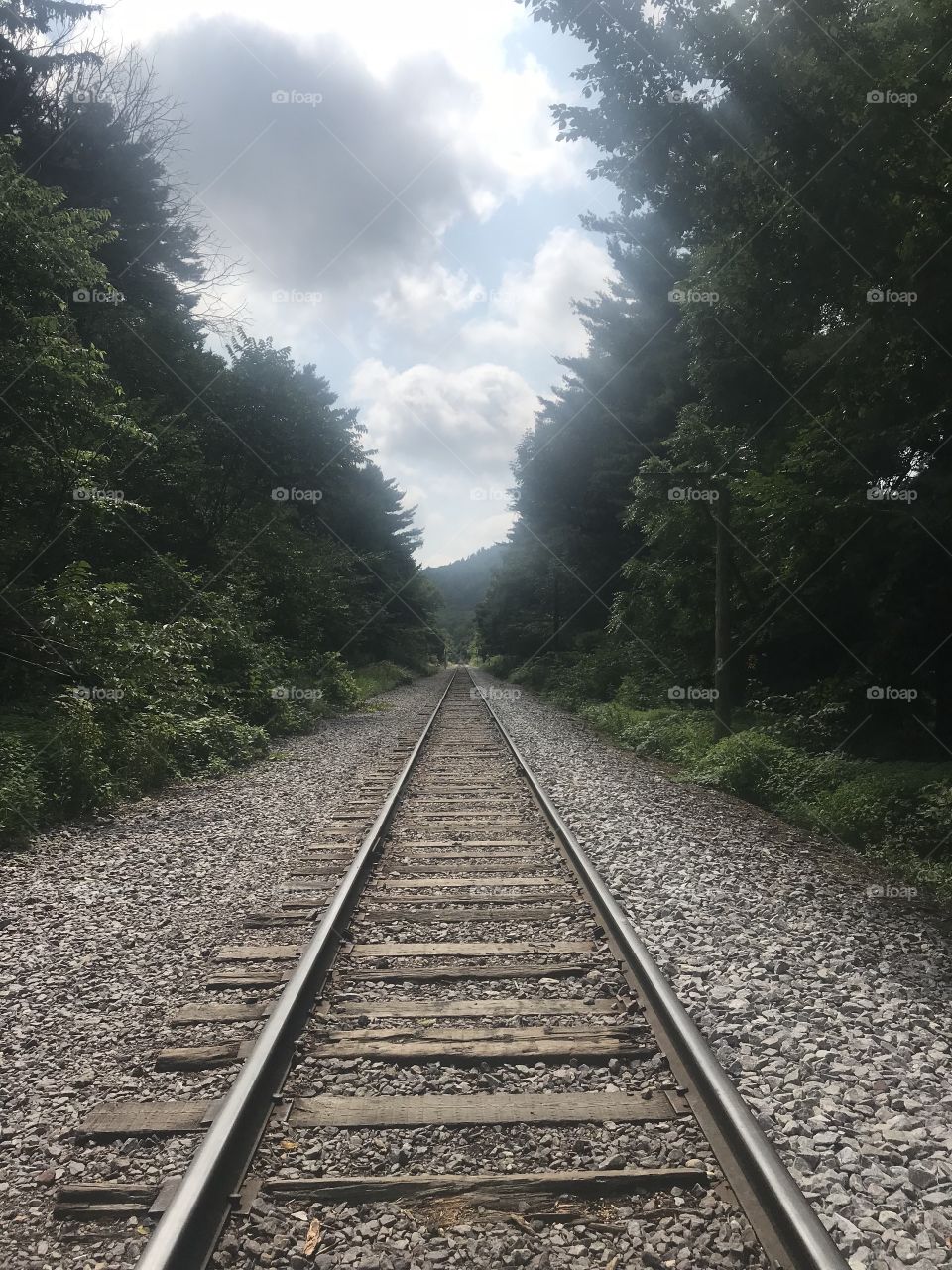 Follow the tracks, do you know where they take you?