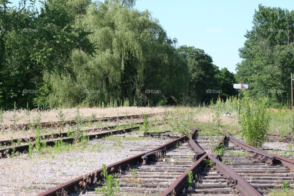 Abandoned railroad