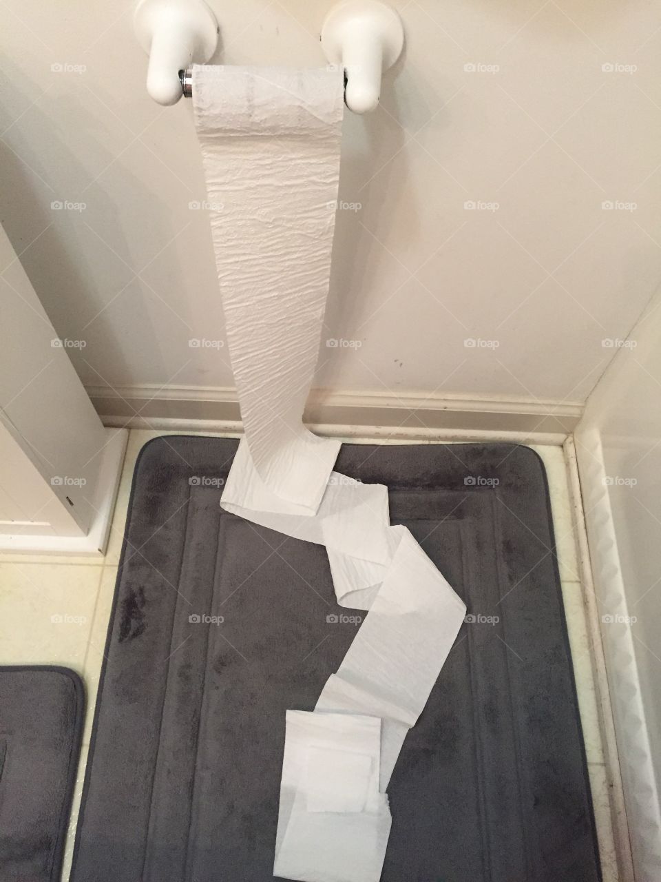 Toilet paper disappointment. 