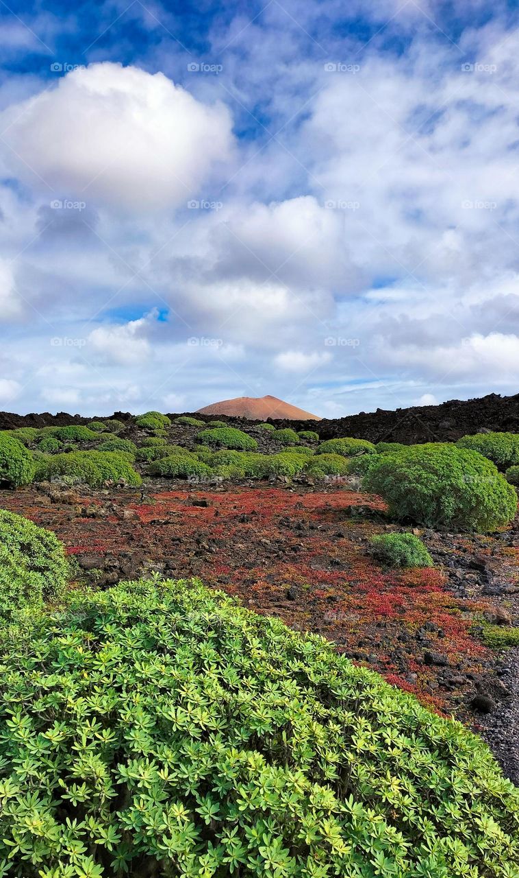 Volcanic Landscape