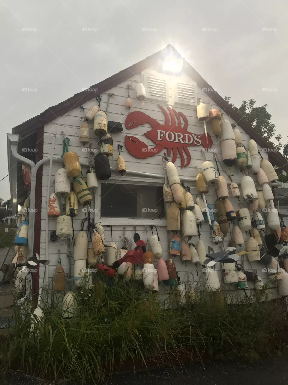 Ford’s Lobstah