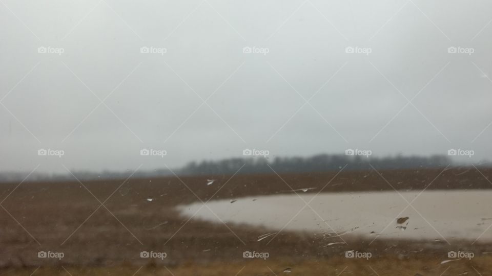 Fog, Landscape, Mist, Water, Winter