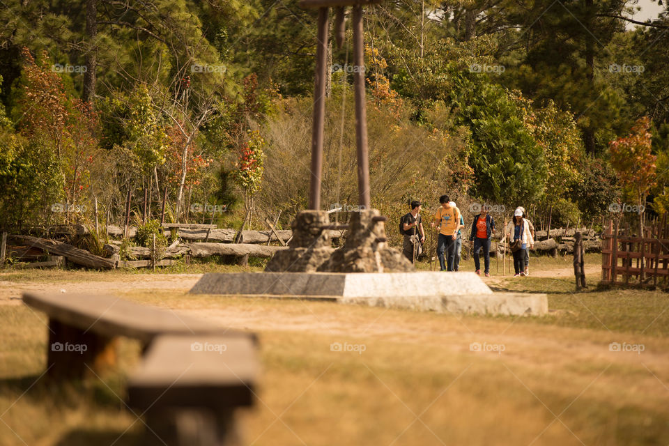 Tourist coming to national park