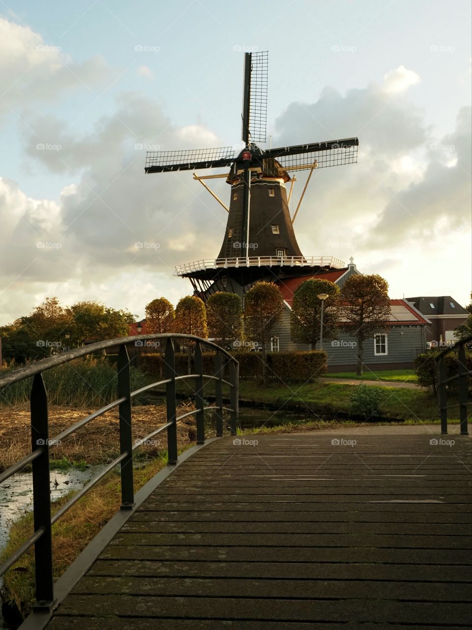 Morning in the Netherlands