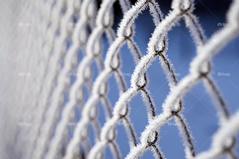 Metal mesh fence in frost