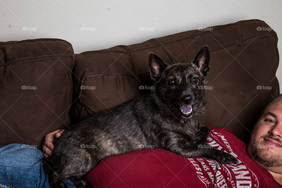 Dog sitting on lap. This is a photograph of a black dog on a mans lap.
