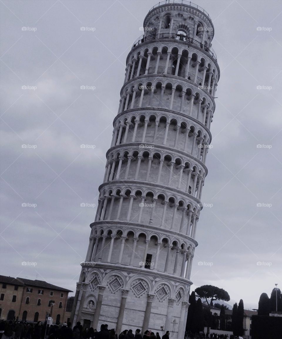 Pisa the tower