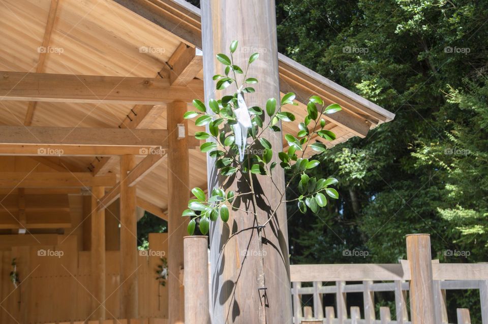 Yamatohime-No-Miya Shrine At Ise Japan30-8-2016