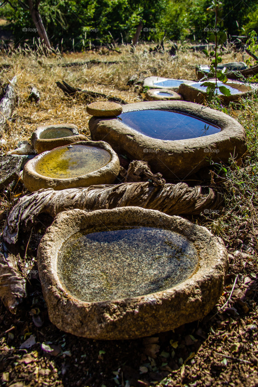 Rocks in field filled with water as birdbaths. photo was taken in Botswana