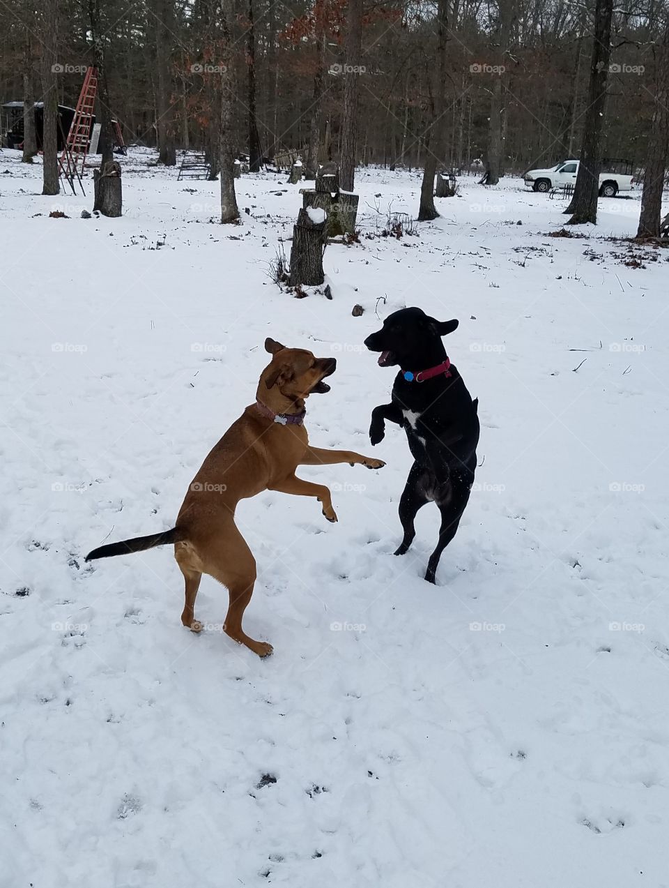 Snow dancing