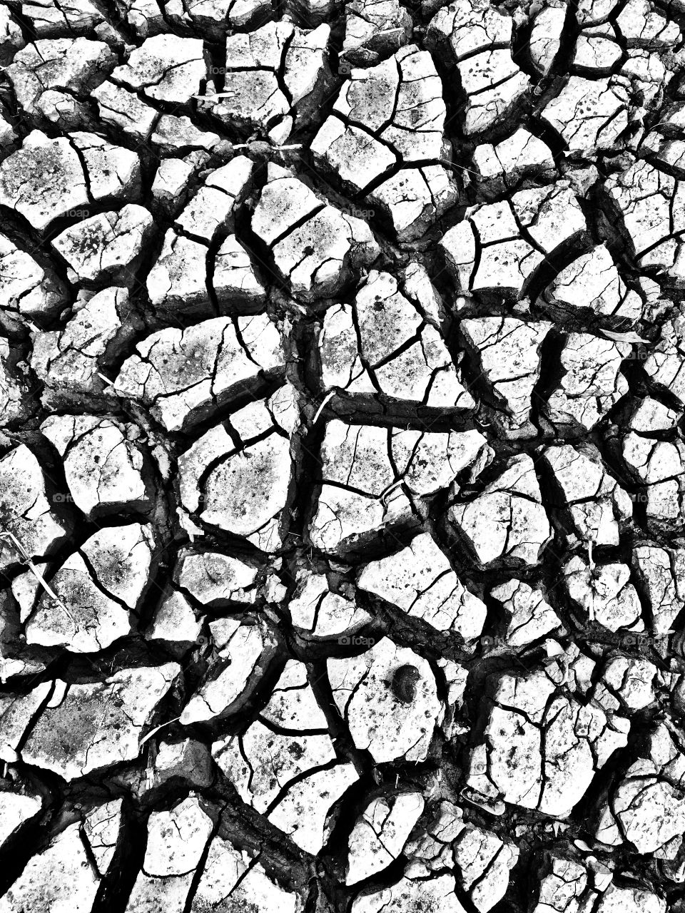 Cracked earth, black and white texture 