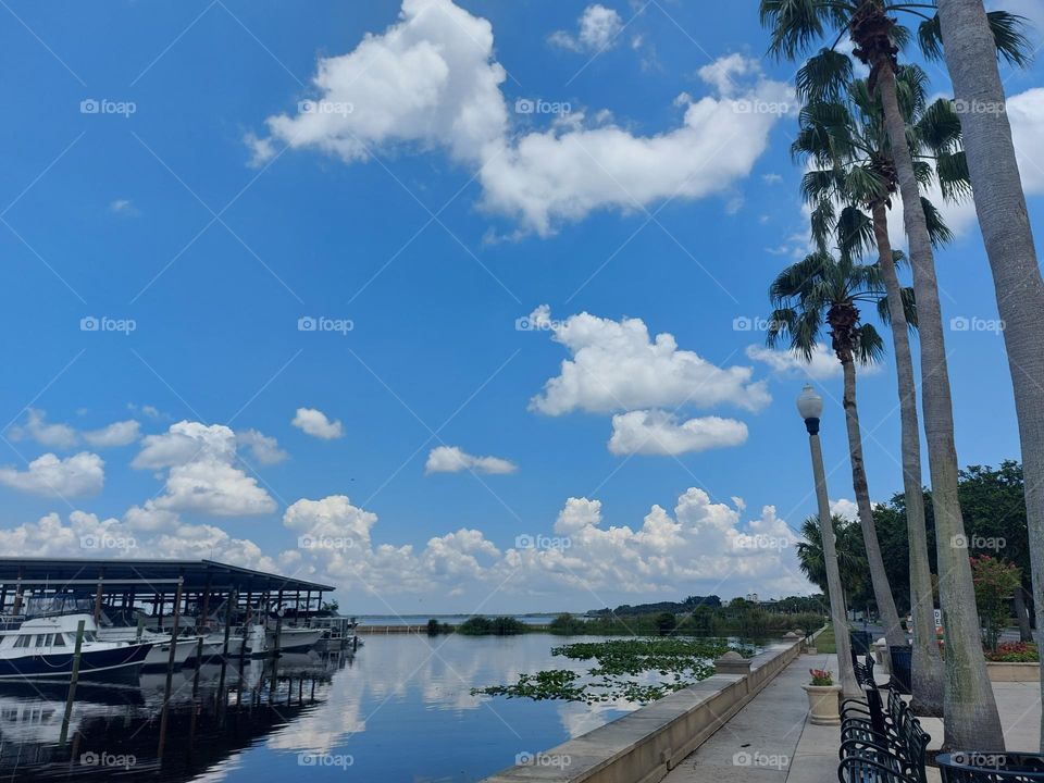 winter park boat dock