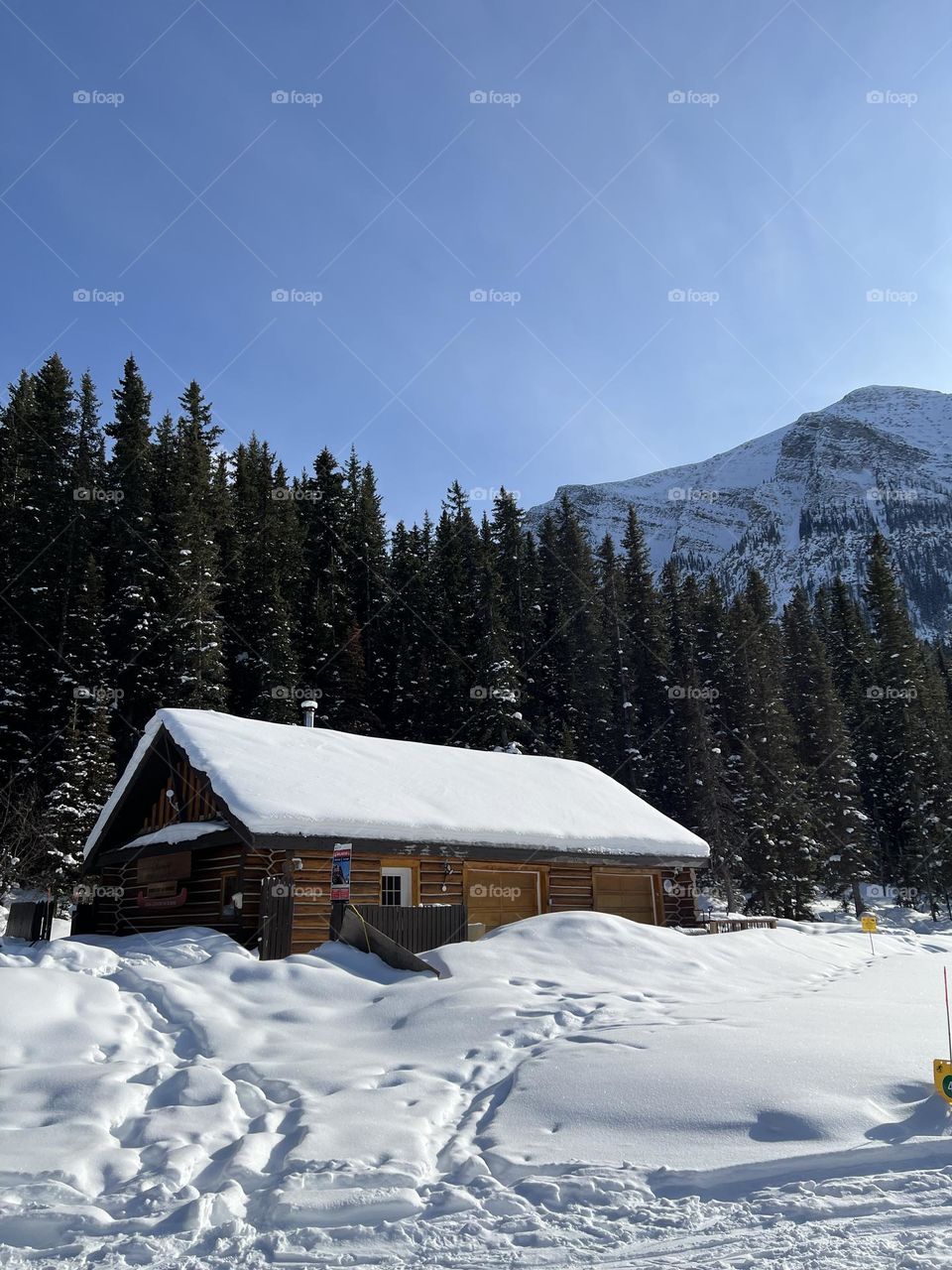 Snowy Winter in Lake Louise Banff