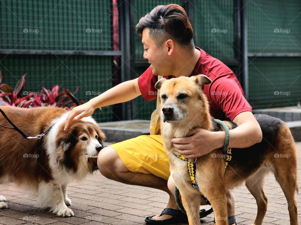 dog walking and petting other's dog on Fire Dragon Path Tai Hang Hong Kong