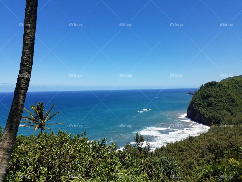 Beach at Oahu