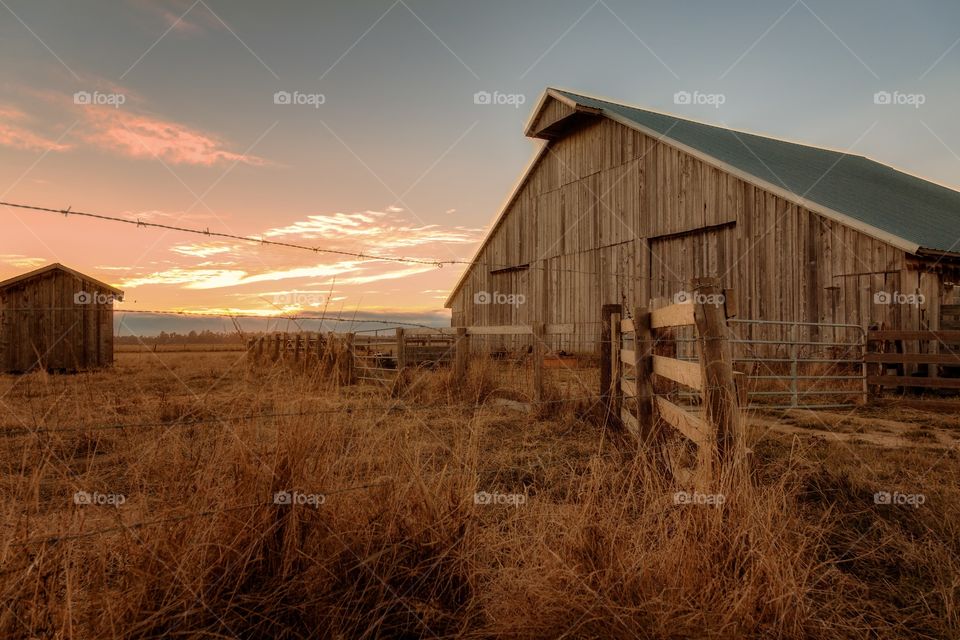 Sunset at the Farm