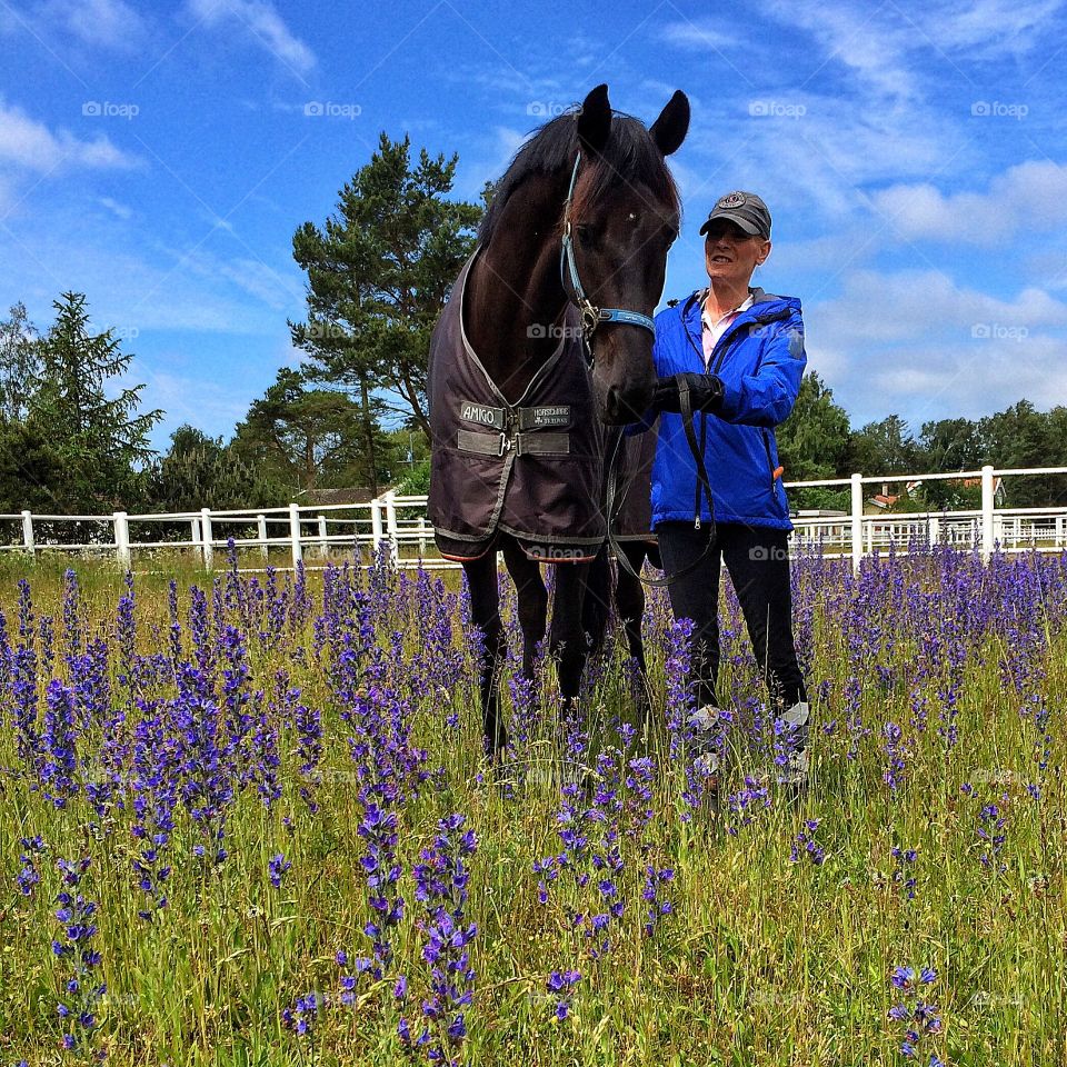 Man standing with horse in field