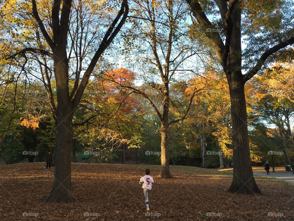 Central Park football 