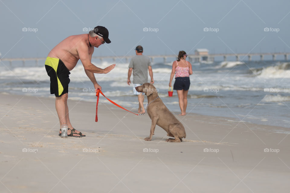 Man teaching his dog to sit in the beach