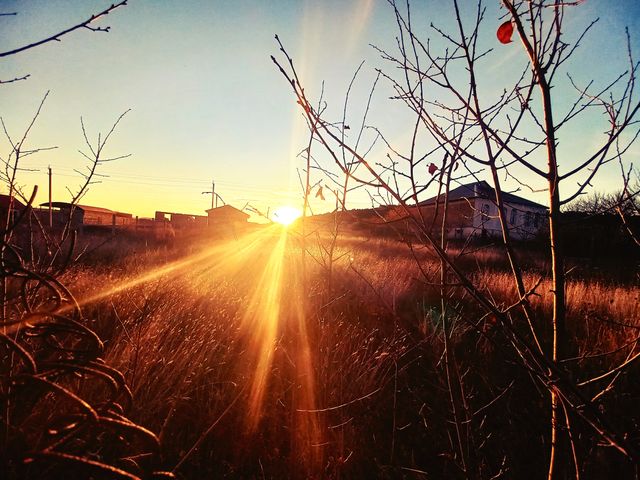 in the photo the evening time, when the sun goes beyond the horizon, illuminating its golden rays around!