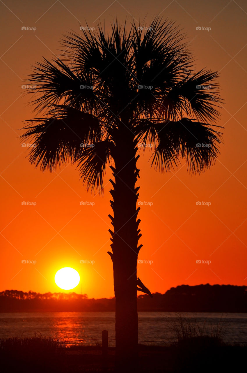 Sunset in Charleston South Carolina.