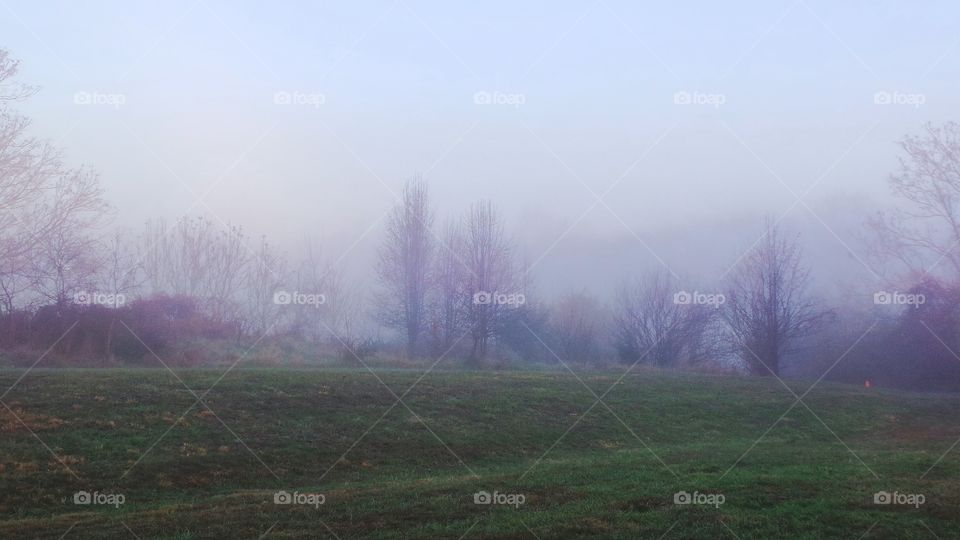 Scenic view of foggy landscape