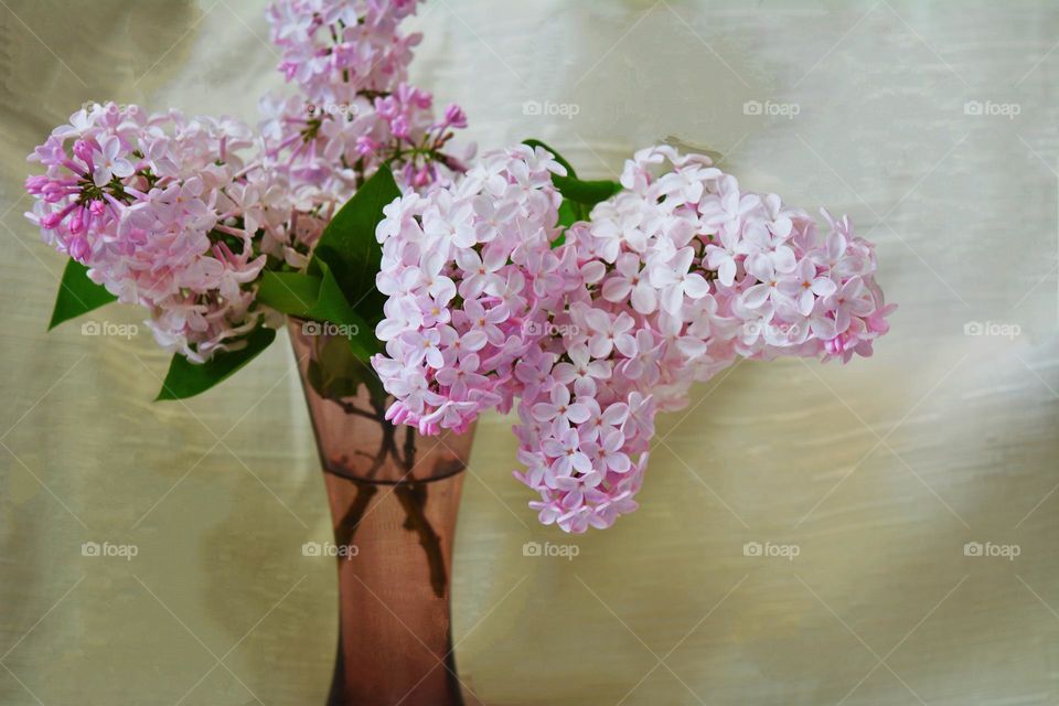 spring flowers in vase