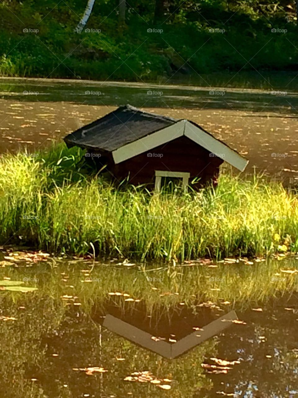 Little small cottage