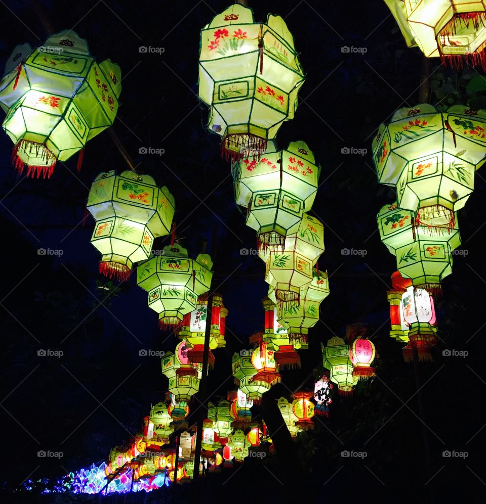 Spectacular display of light up lanterns 
China Lights at the Botanical Garden
