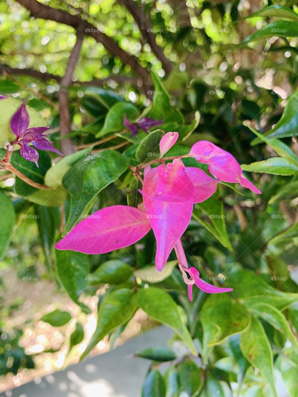 “Sometimes love is like a flower: if you hold it tightly, it will spoil but if you leave it alone, it will grow.”