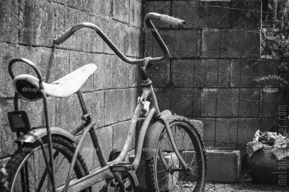 Vintage Bicycle