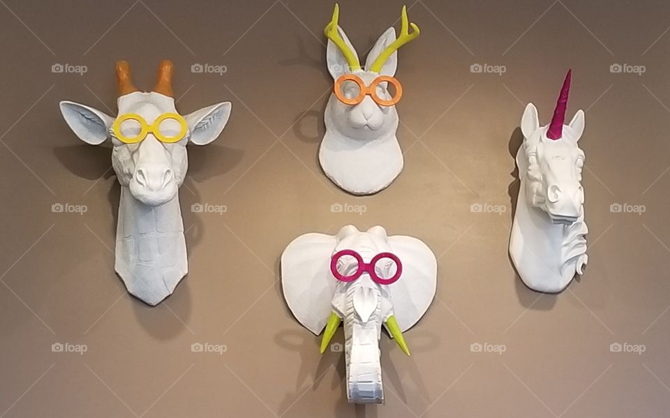 Animals with glasses