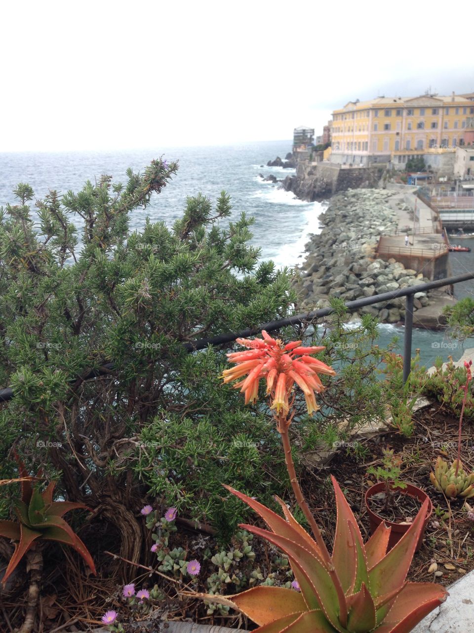 Nervi Genova Liguria