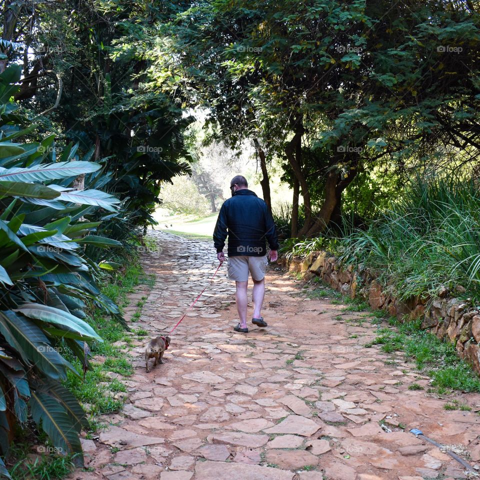 Tropical garden greenery in the botanical garden at the park, travel in garden with benches, explore on the stone walkway and path, walking the dog outdoors on a leash, hiking fitness, motivation to move, peace recreation and wanderlust and colourful