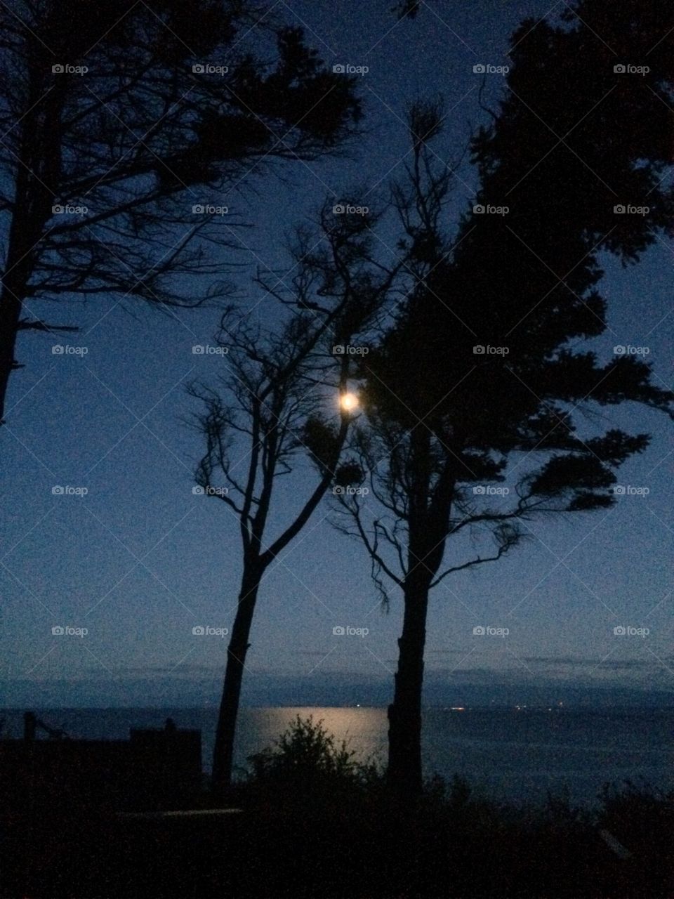 Canada evening on the water. Savary Island, British Columbia