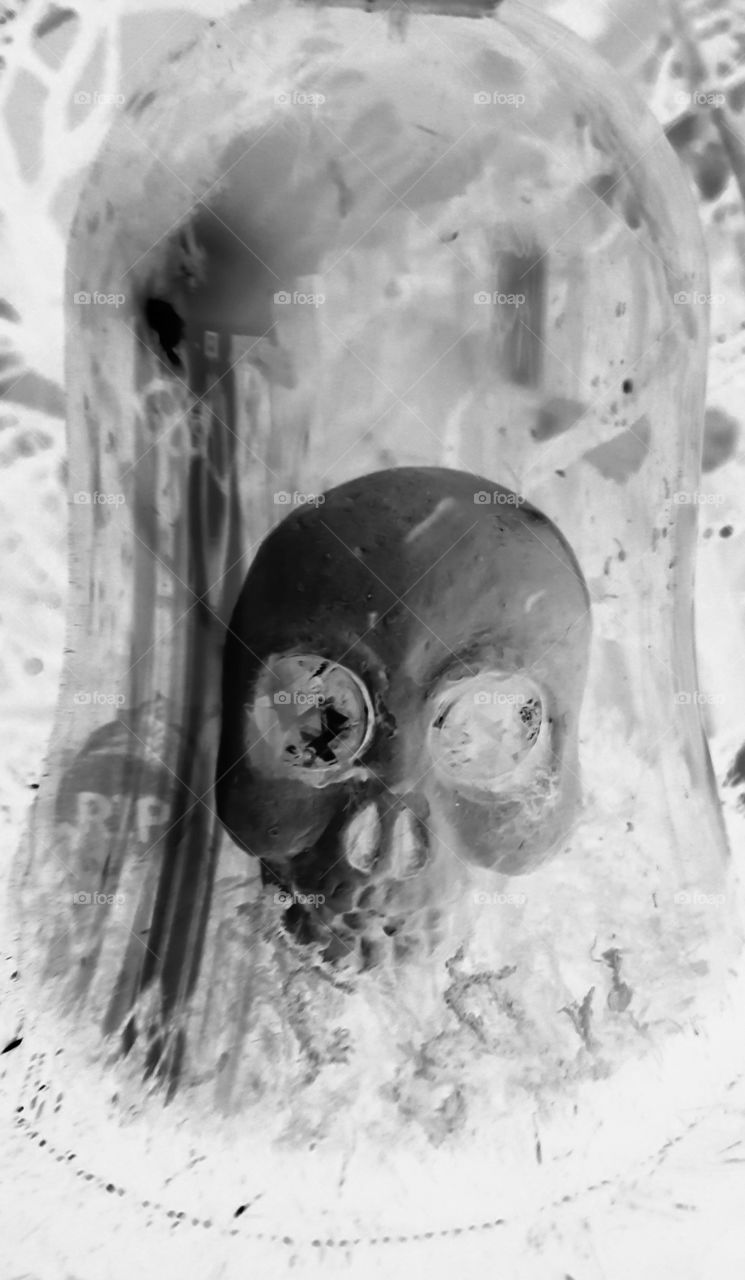 rip skull negative grayscale