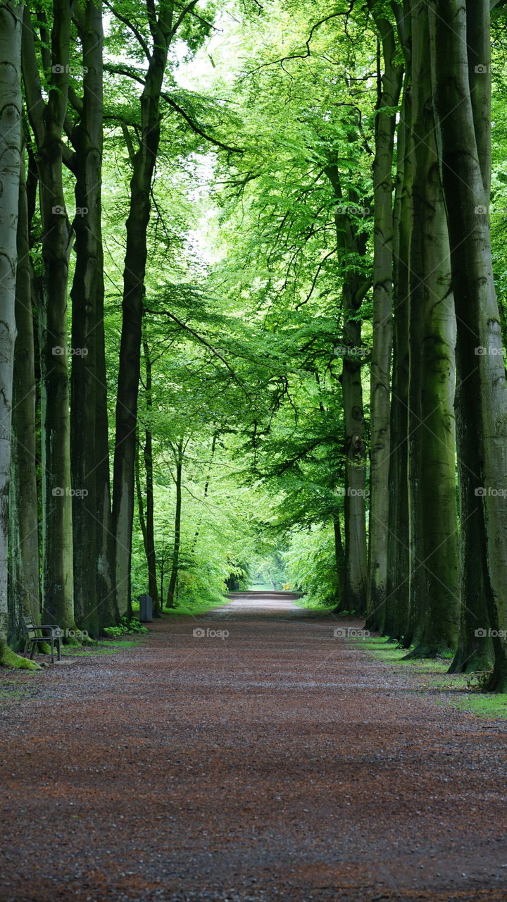 In a park in Antwerp