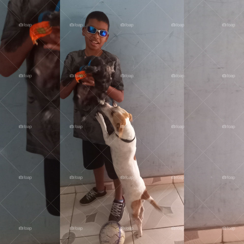 O italo com os cachorros.