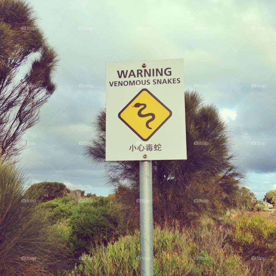 SNAKES BEWARE! ONLY IN AUSTRALIA 